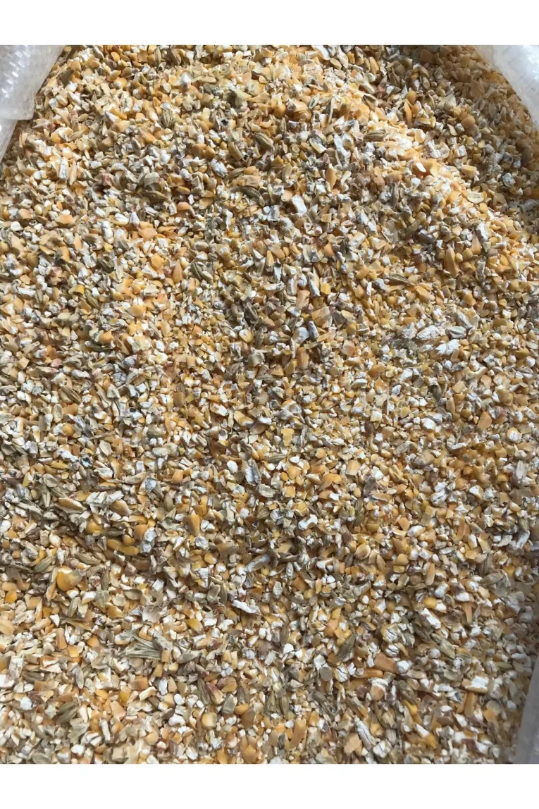 1 org zoom 35