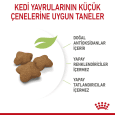 royal canin kitten sterilised kuru mama 6