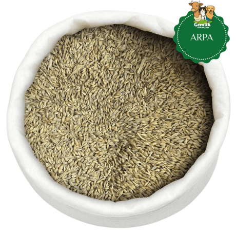 Doğal Arpa Yemi – Güvercin, Tavuk ve Kümes Hayvanları İçin Besleyici Yem