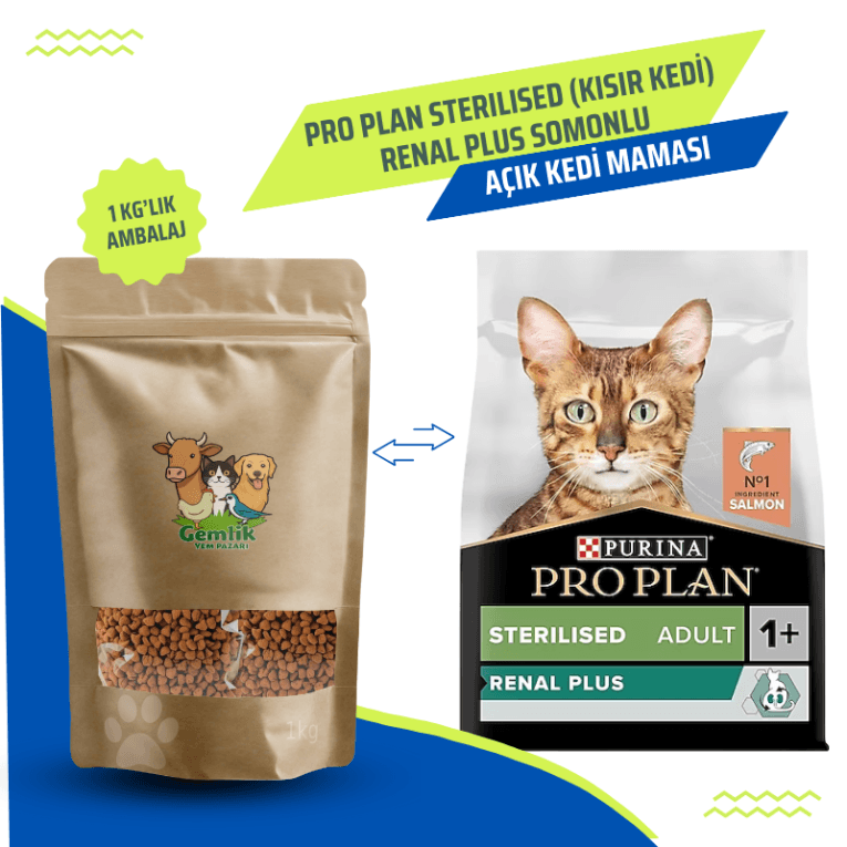 Cream Orange and Light Brown Minimalist Pet Shop Presentation Kopyası (10)