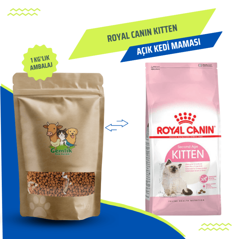 Cream Orange and Light Brown Minimalist Pet Shop Presentation Kopyası (11)