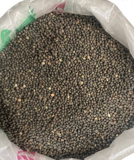 Yüksek Proteinli Fiğ Tohumu