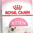 royal-canin-kitten-36-10-kg-yavru-kuru-z