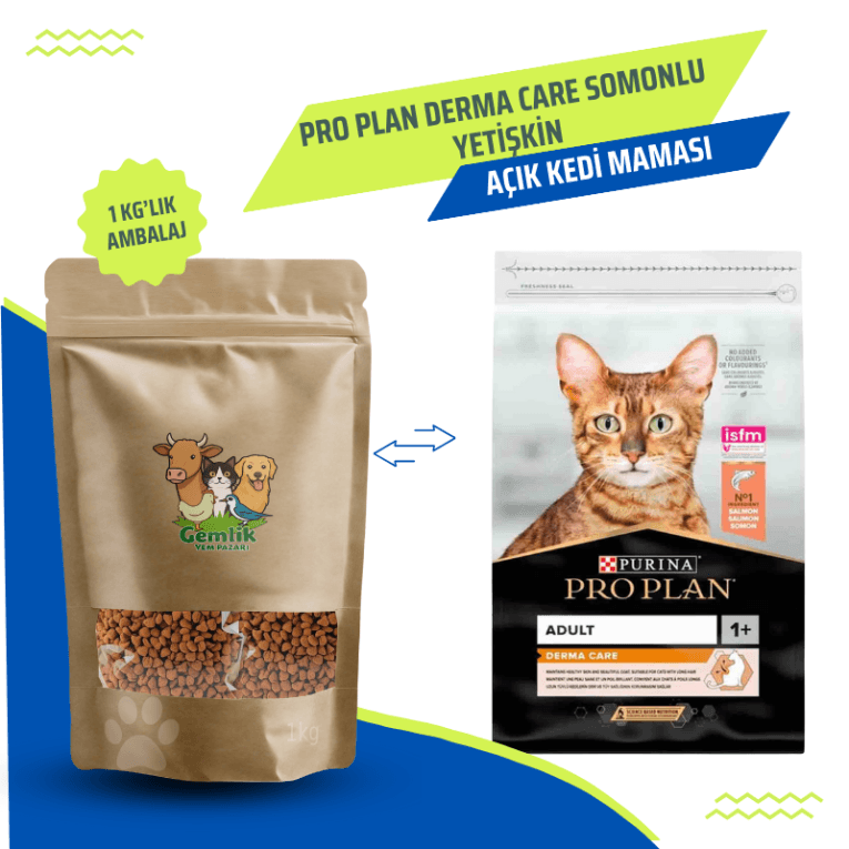 Cream Orange and Light Brown Minimalist Pet Shop Presentation Kopyası (13)