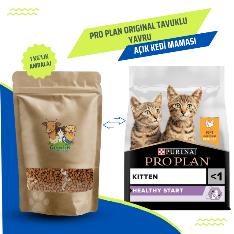 Cream Orange and Light Brown Minimalist Pet Shop Presentation Kopyası (15)