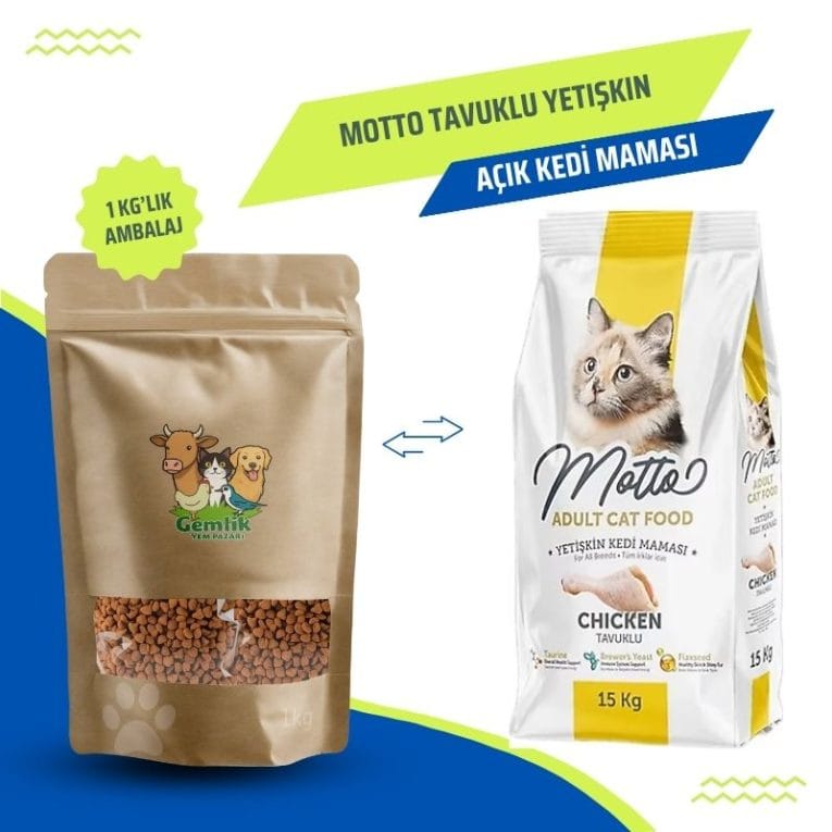 Cream Orange and Light Brown Minimalist Pet Shop Presentation Kopyası (2)