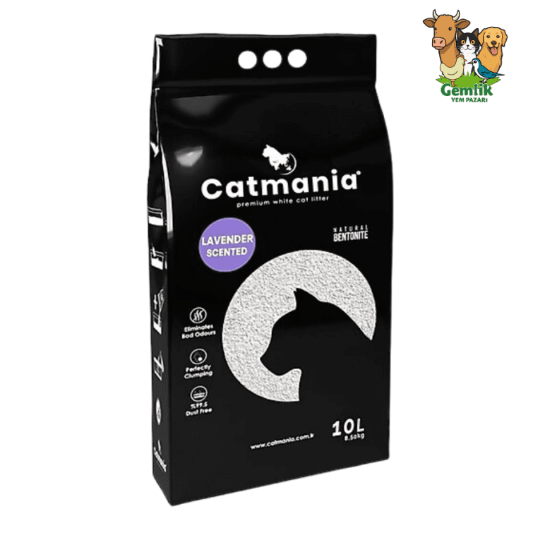 catmania lavanta