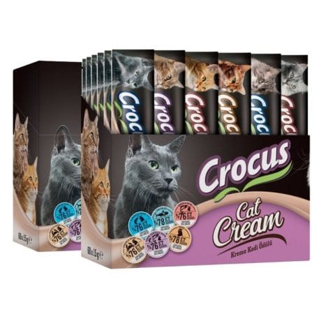 crocus 60x15
