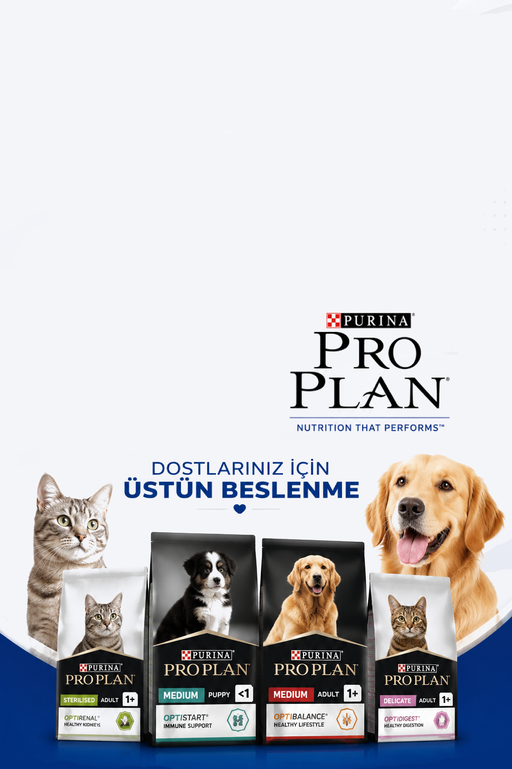 pro-plan-banner