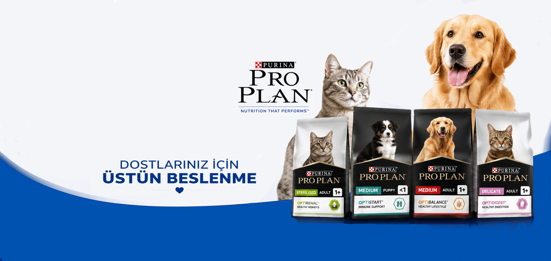 pro-plan-banner2