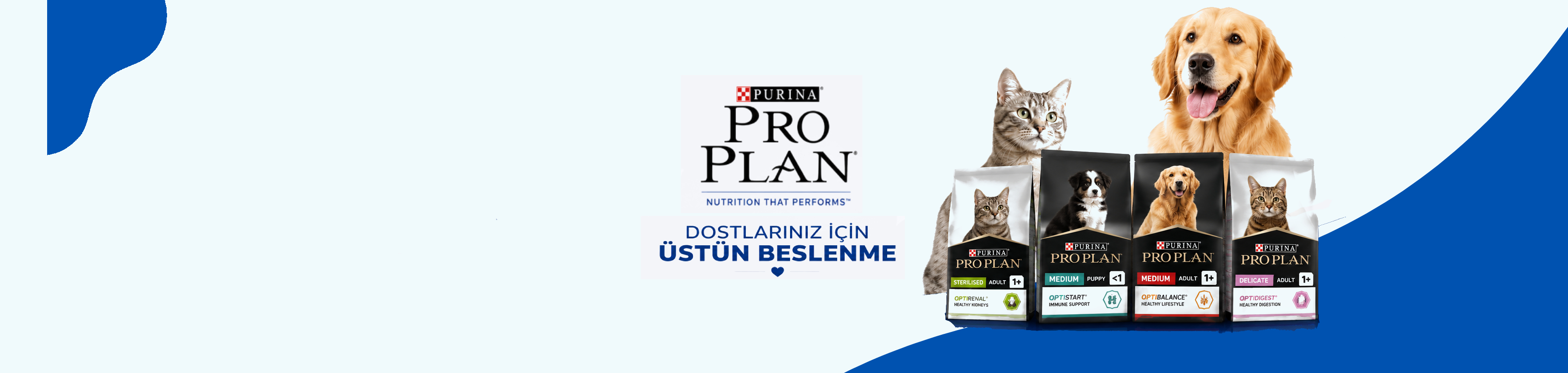 Yeni Proje (1)
