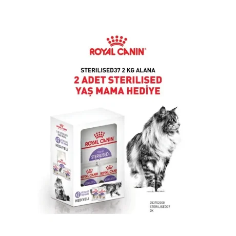 Royal Canin Sterilised Bundle 37 Kısırlaştırılmış Yetişkin Kedi Maması 2 Kg + 2 Adet Sterilised Yaş