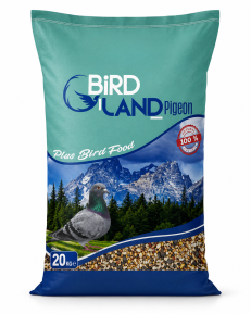 bird-land