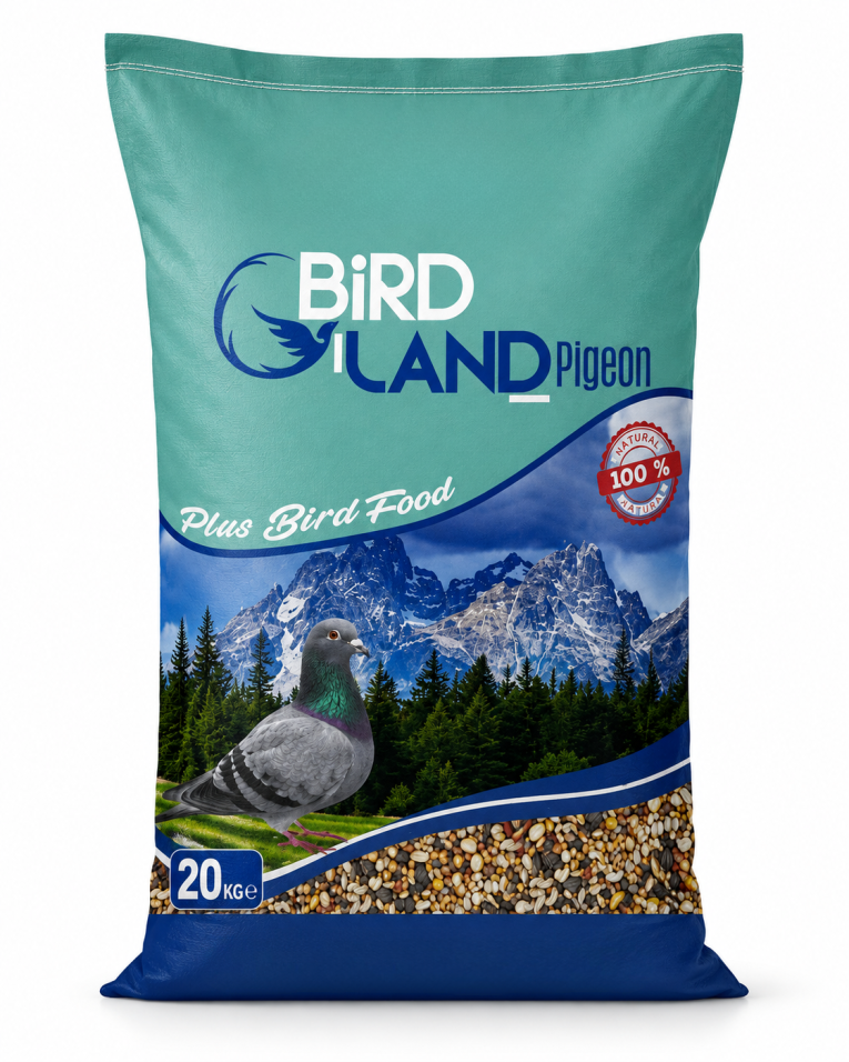 bird-land