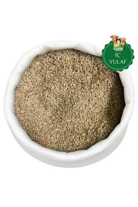 İç Yulaf Kuş Yemi